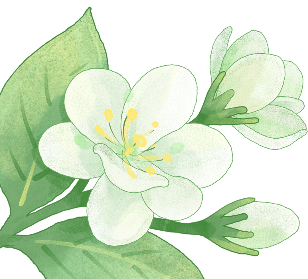 interfiliere Shanghai上海國際貼身時尚原輔料展