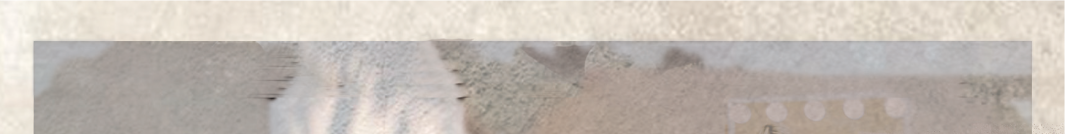 interfiliere Shanghai上海國(guó)際貼身時(shí)尚原輔料展