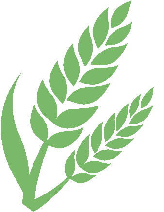 interfiliere Shanghai上海國際貼身時尚原輔料展 interfiliere Shanghai上海國際貼身時尚原輔料展